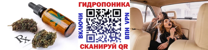 blacksprut онион  Кологрив  Печенье с ТГК марихуана 