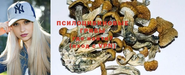 прущий лед Армянск