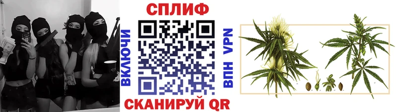 blacksprut онион  Кологрив  Бошки Шишки сатива 